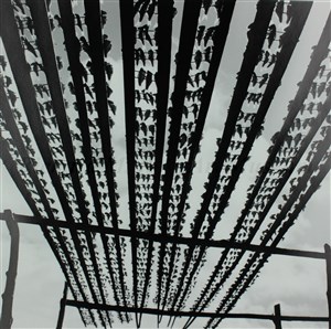 Image description is not available for 2014.073